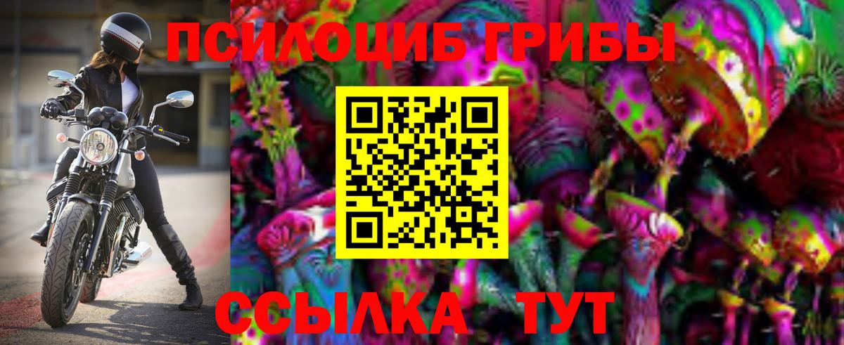 Псилоцибиновые грибы Cubensis Барнаул